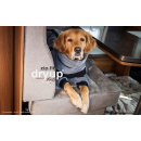 Hundebademantel mit Beinen Dryup Body Zip.Fit XS (48cm) grau