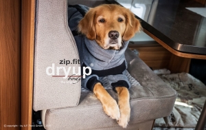 Hundebademantel mit Beinen Dryup Body Zip.Fit XL (70cm) grau