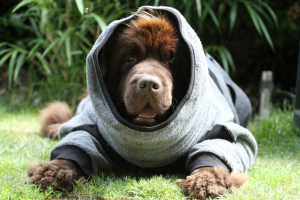 Hundebademantel mit Beinen Dryup Body Zip.Fit grau BIG 90 cm