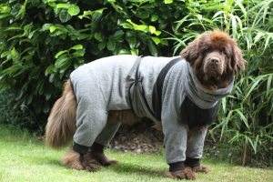 Hundebademantel mit Beinen Dryup Body Zip.Fit grau BIG 90 cm