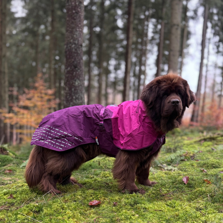 Hunderegenmantel Fjord Non-stop dogwear