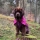 Hunderegenmantel Fjord Non-stop dogwear
