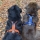Hundegeschirr Line Harness Non-stop dogwear