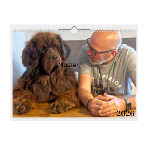 Foto Wandkalender 2026 FLY Neufundländer