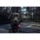 Orbiloc Sicherheitsleuchte Dog Dual Safety Light