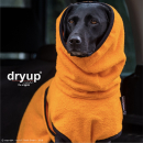 Hundebademantel Dryup Cape