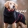 STANDARD  Dryup Cape Hundebademantel (Gr.XS-XXL) - viele Farben