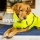 STANDARD  Dryup Cape Hundebademantel (Gr.XS-XXL) - viele Farben