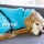 STANDARD  Dryup Cape Hundebademantel (Gr.XS-XXL) - viele Farben