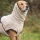 Hundebademantel Dryup Cape sand L (65 cm)
