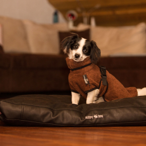Hundebademantel Dryup Cape MINI braun 40 cm