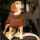 Hundebademantel Dryup Cape MINI braun 40 cm