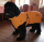 Hundebademantel Dryup Cape BIG ORANGE (90cm) ohne Bestickung
