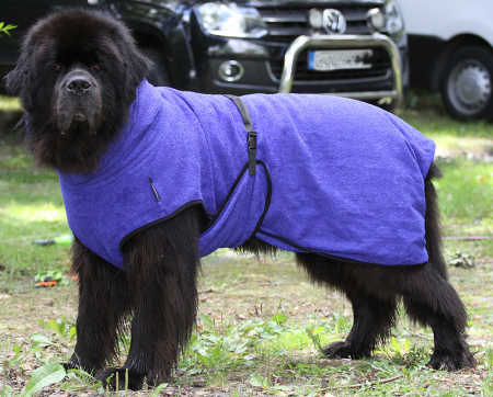 Hundebademantel Dryup Cape BIG BLUEBERRY  (84 cm) ohne Bestickung