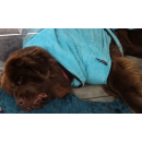 Hundebademantel Dryup Cape BIG CYAN (90cm) ohne Bestickung